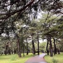 옥계해수욕장(숲) 이미지