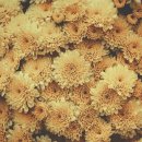 청도대남병원장례식장 이미지