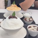달콤듬뿍눈꽃빙수스노우빙수 | 선릉역 카페 빙수 맛집 더스노우 대치본점 저당 빙수 망고빙수 인절미빙수 실내 애견동반 후기