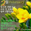 요이