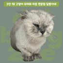 달봉이네 대연점 이미지