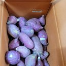 꿀고구마 달려요 이미지