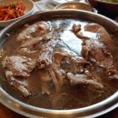 조은오리 이미지