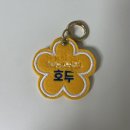브라보의작업실 이미지