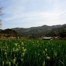 죽곡청년회 이미지