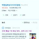 박영길 복싱클럽 이미지