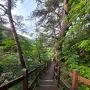 악원 | 충주온천여행 수안보파크호텔 근처 가볼만한곳 추천(수옥폭포 족욕체험장 등)