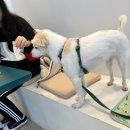 WITH DEW(윗듀) 이미지