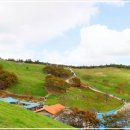 연곡해변 이미지