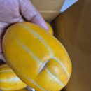 양지바른농장 | 여름 제철과일 성주 참외, 고당도 가정용 꿀참외 내돈내산 구매 후기