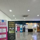 코코아이성형외과의원 티스토리