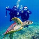 해상농장 | 필리핀 보홀 자유여행 3박5일 일정 현지 경비 후기