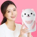 메디니스 이미지