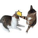 샌드지에스
