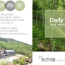 무릉도원면-44 이미지