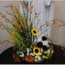 요한성당 앞 이미지