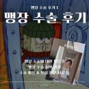 [맹장 수술 후기 1]맹장 수술에 대한 모든것(맹장염 증상, 회복 과정, 응급차 비용, 수술 비용, 의사...