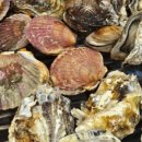 파로스당구장 이미지