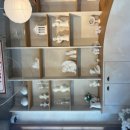 베이커리하우스 이미지