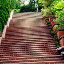 대구비봉초등학교 | 대구 비봉 초등학교 학부모 역량 강화 교육