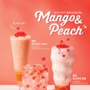 코코다방 이미지