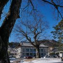 순흥도호부 유물 이미지