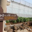 추사 유배길 - 3코스 사색의 길 이미지