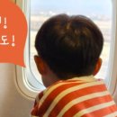 제주돌집탱자싸롱