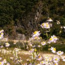 복음농장 이미지