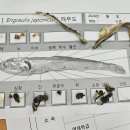 봄내중학교 이미지