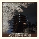 [2025경주 벚꽃여행 1박2일]대릉원부터 도토리캐리커쳐 황룡원까지 먹방여행