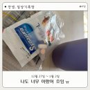 새롬약국 | 올바릇식당 일광점 엄마랑 부산대 다이소 크리스피 도넛 동생이랑 코인노래방