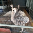 한길3농장 이미지