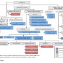 유엔세탁 이미지