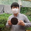 대병가스 이미지