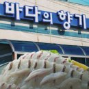 바다뷰