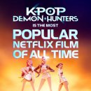 매일관광주식회사 이미지