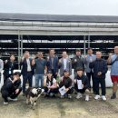 국제의원 이미지