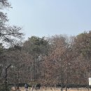 피터팻츠 - 고양시 덕양구 주교동 | 피터팻츠