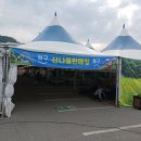 내면농협 하나로마트 이미지