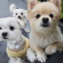 대천유치원 이미지