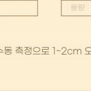 앨리스의티팟