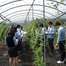 한방고등학교 이미지