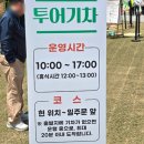 용문시장 체험코스 | [양평 축제 후기] 제15회 양평 용문산 산나물 축제 생생 방문기, 주차 팁과 가족.반려견 체험 정보 총정리