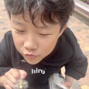 EAC야외전시 잇-다 네이버블로그