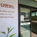 지유명차서귀 이미지