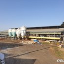 도출목장 뉴스1
