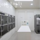 삼색이동물병원 이미지