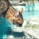 파주약국 이미지