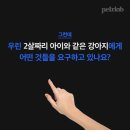 동물의 왕국' '2021. 10. 31' 이미지